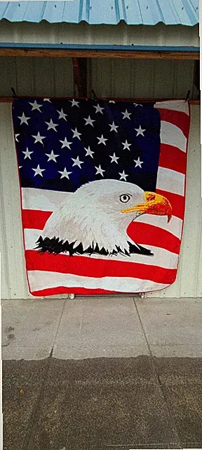 EAGLE AND AMERICAN FLAG USA AMERICA QUEEN SIZE BLANKET BEDSPREAD