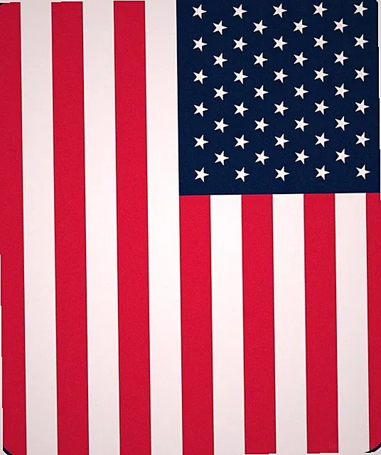 Queen Size American Flag Red White & Blue Patriotic Soft Faux Fur Plush Blanket