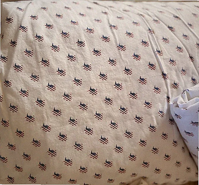 Southern Tide Rare Americana Flag Skipjack Fish Full Sheet Set