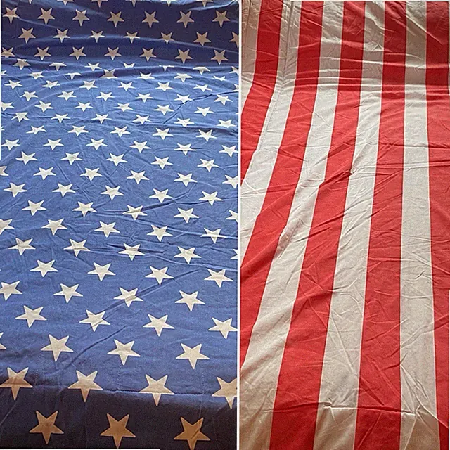 VTG Martex Boynton American Flag Comforter Twin USA Stars Stripes 80s